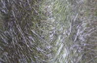 Mill Throop fibreglass roof work